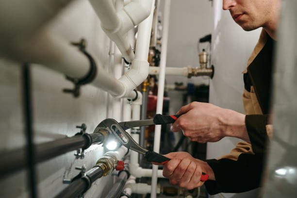 Best Local Plumber Services  in Brown Station, MD